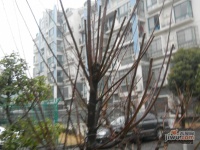 佰田大富苑实景图11