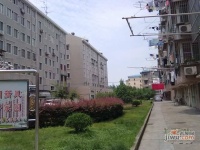 梓潼公寓实景图图片