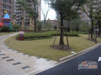 东方听潮豪园实景图55