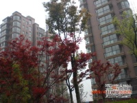东方听潮豪园实景图55