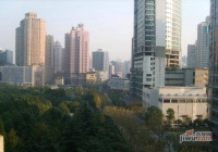 光明城市实景图15