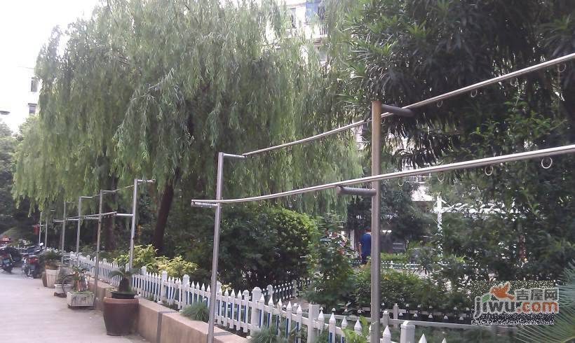 宜洛馨苑实景图图片