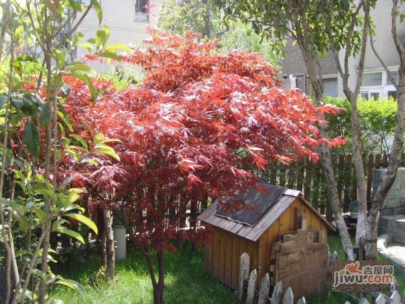 西郊景园实景图图片