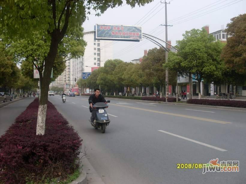 上海诗林实景图图片