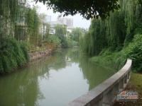 九洲大唐花园实景图图片
