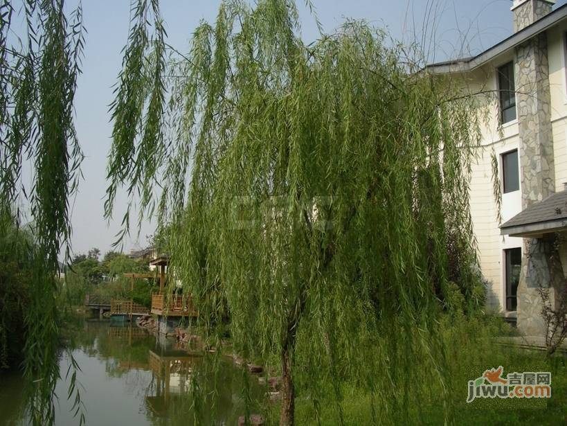 九洲大唐花园实景图图片