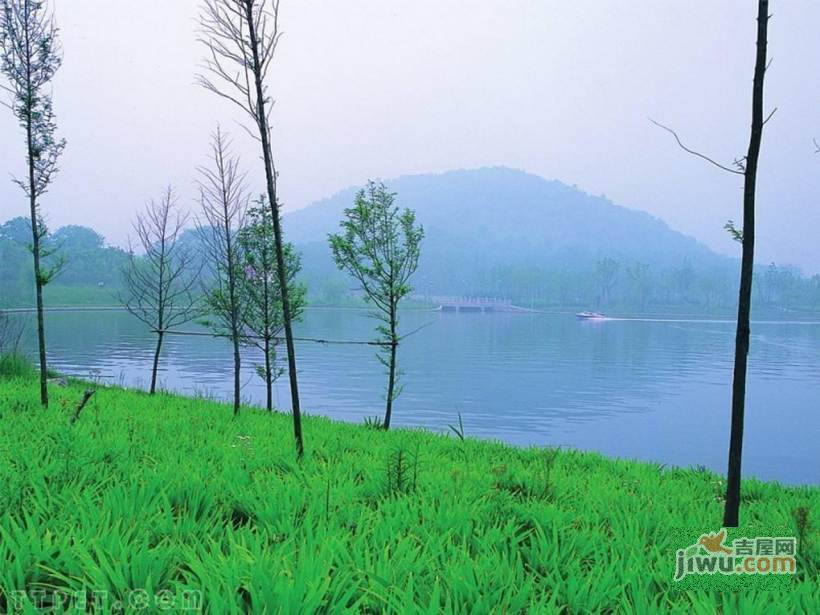 上海紫园实景图图片