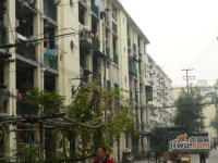 东安一村实景图图片
