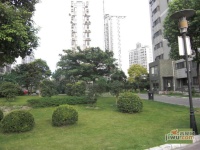 徐汇龙兆苑实景图25