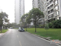 徐汇龙兆苑实景图25