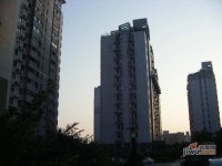 徐汇龙兆苑实景图25