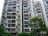 徐汇龙兆苑实景图25