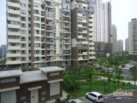 华滨家园实景图图片