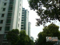 明丰阳光苑实景图22