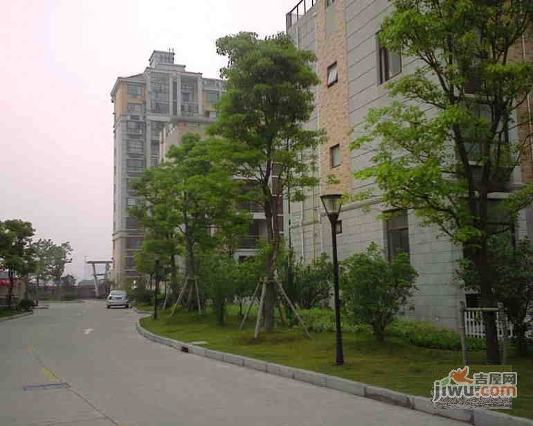 丽景翠庭实景图图片