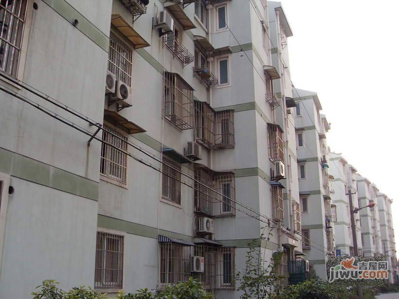 金苹果花园实景图图片