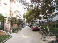 辽源二村实景图图片