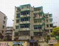 南茶园实景图1