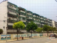 南茶园实景图1