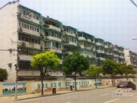 南茶园实景图1
