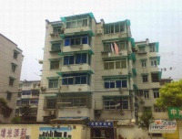 南茶园实景图1