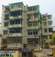 南茶园实景图1