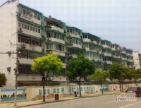 南茶园实景图1