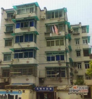 南茶园实景图1