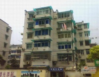 南茶园实景图1