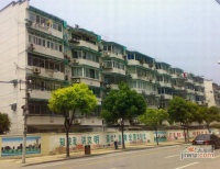 南茶园实景图1