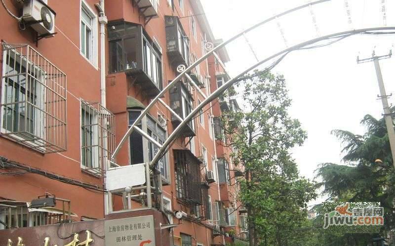 田林十村实景图图片