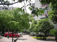 仪表新村实景图图片