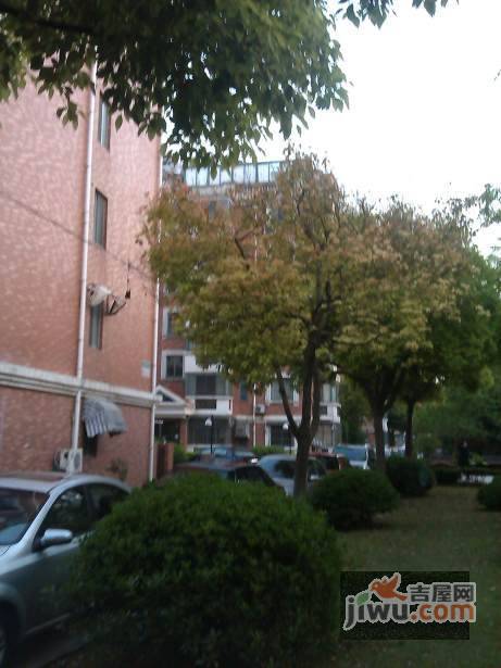 朝霞新苑实景图图片