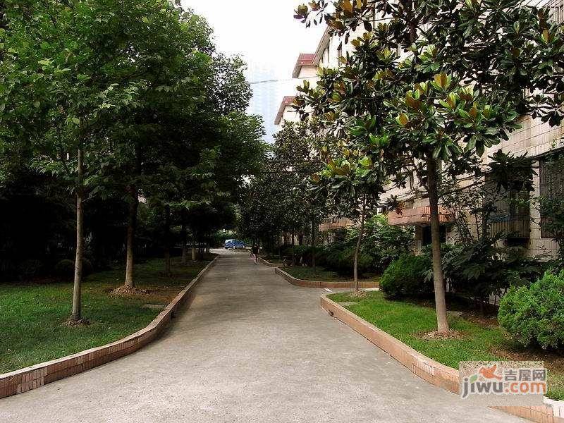 常高公寓实景图图片