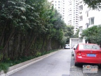 黄浦锦城公寓实景图图片