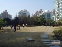 上海豪园实景图图片