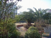 上海豪园实景图图片