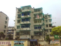 南茶园实景图1
