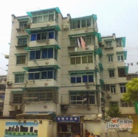 南茶园实景图1