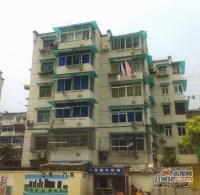 南茶园实景图1
