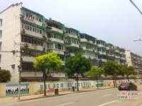 南茶园实景图1