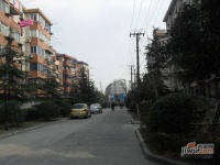 淞南十村实景图图片