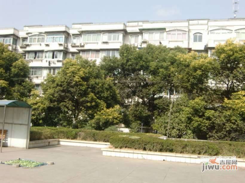 共富三村实景图图片