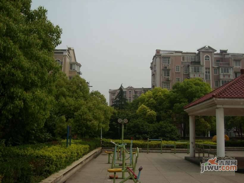 共富三村实景图图片