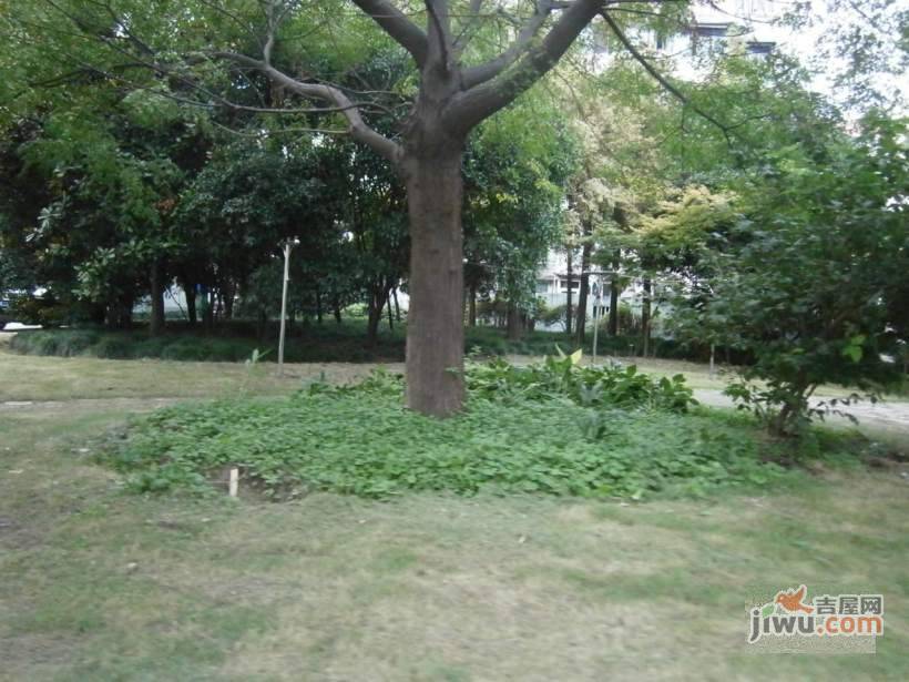 长丰坊实景图图片