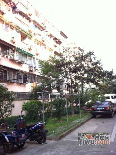 翠春小区实景图图片