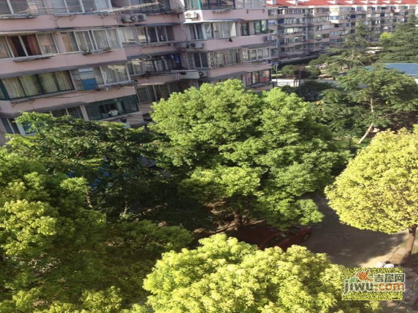 绿川新苑实景图图片