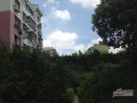 沁春园一村实景图图片