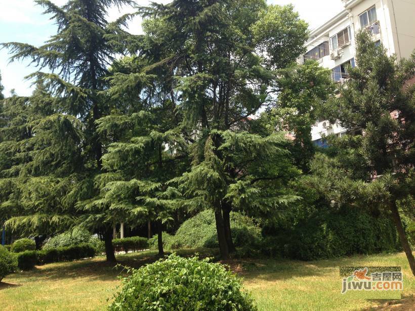 沁春园一村实景图图片