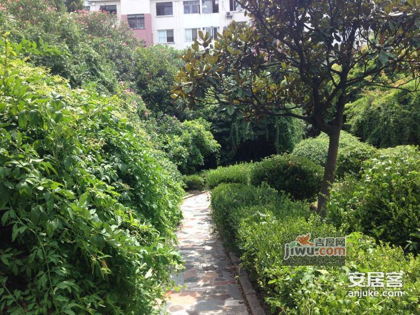 沁春园一村实景图图片